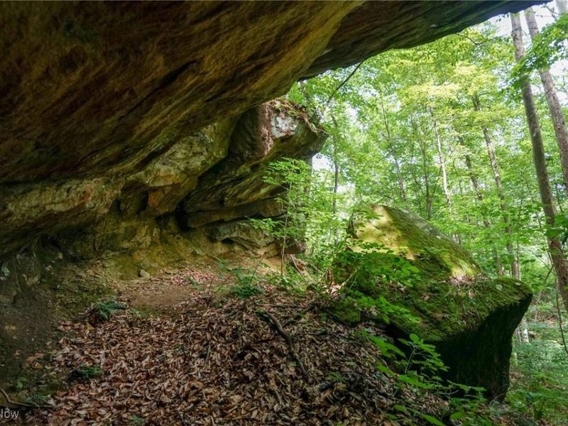 34799 Paw Rd, Lower Salem, OH 45745 Photo 24