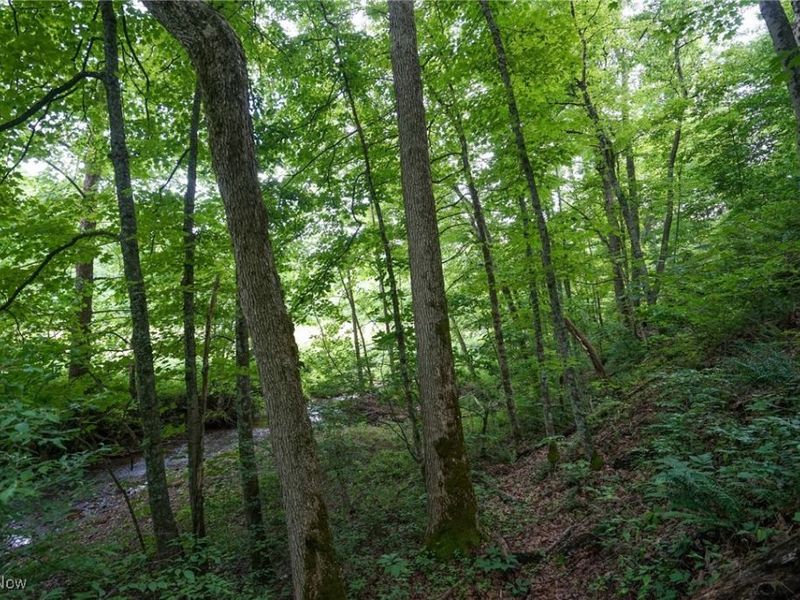 34799 Paw Rd, Lower Salem, OH 45745 Photo 34