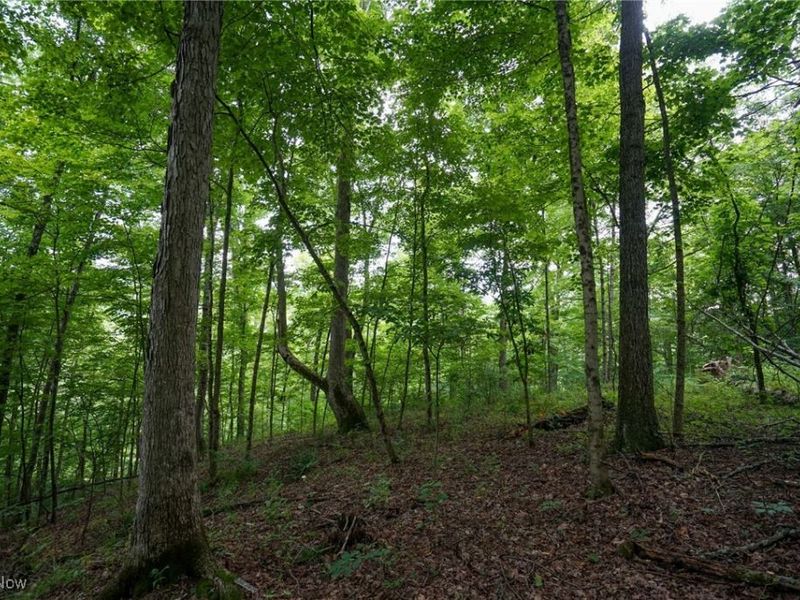 34799 Paw Rd, Lower Salem, OH 45745 Photo 35