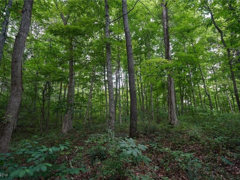 34799 Paw Rd, Lower Salem, OH 45745 Photo 36