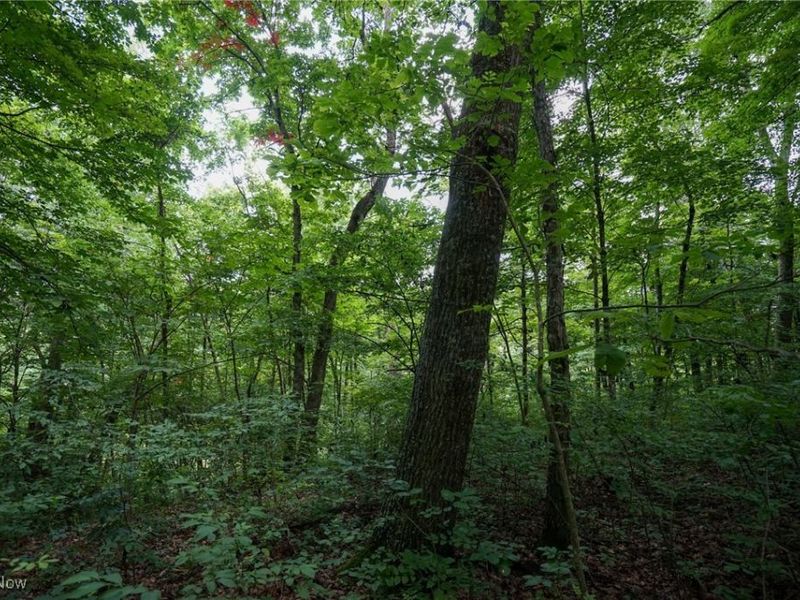 34799 Paw Rd, Lower Salem, OH 45745 Photo 37