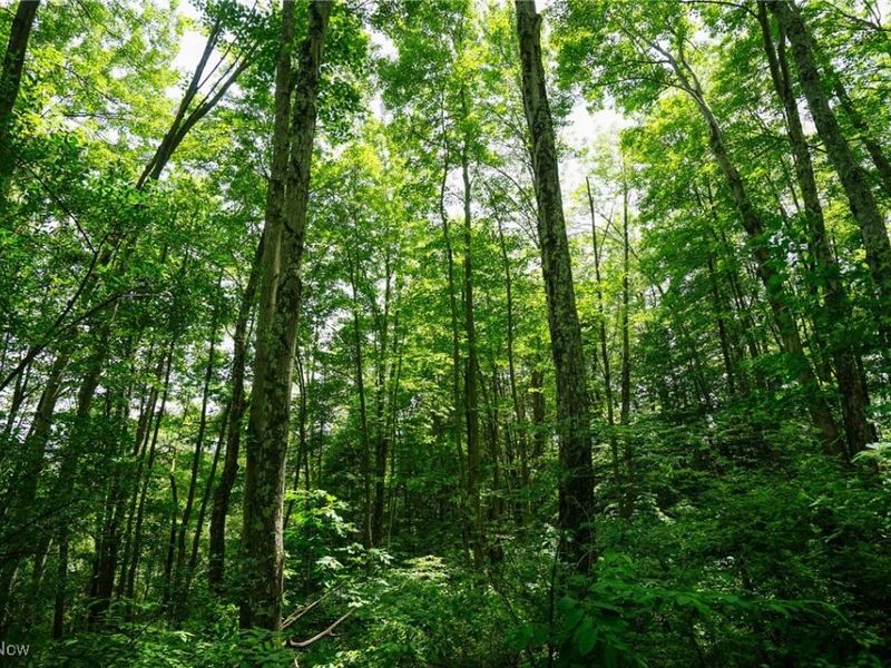 34799 Paw Rd, Lower Salem, OH 45745 Photo 38