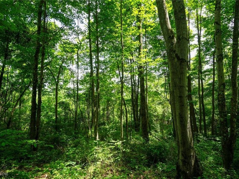 34799 Paw Rd, Lower Salem, OH 45745 Photo 39