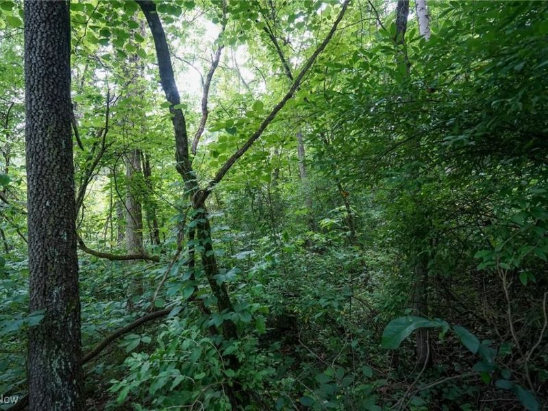 34799 Paw Rd, Lower Salem, OH 45745 Photo 40