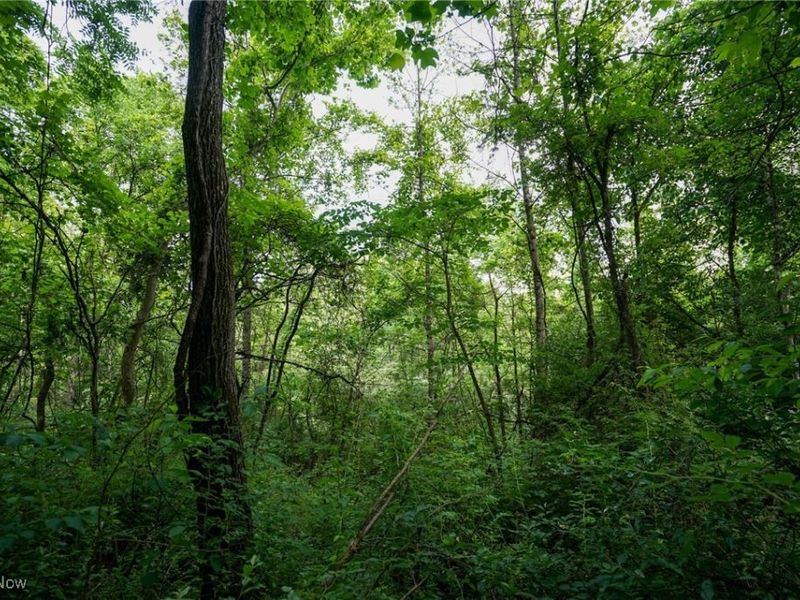 34799 Paw Rd, Lower Salem, OH 45745 Photo 41