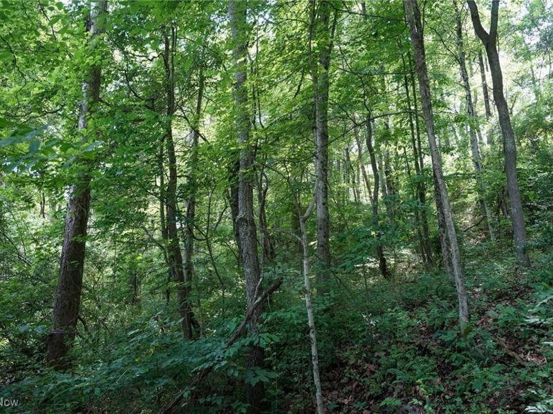 34799 Paw Rd, Lower Salem, OH 45745 Photo 42