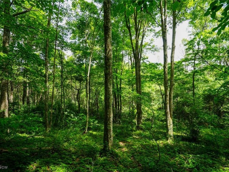 34799 Paw Rd, Lower Salem, OH 45745 Photo 43