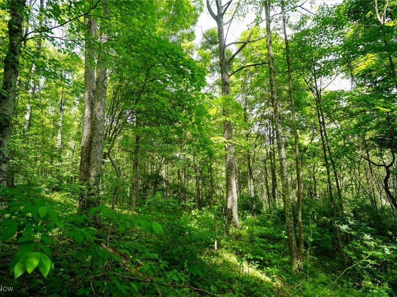 34799 Paw Rd, Lower Salem, OH 45745 Photo 44