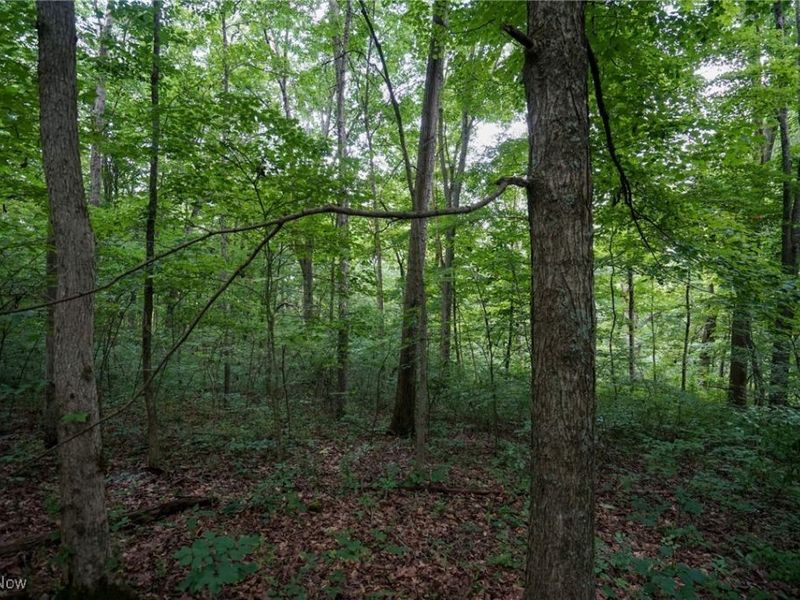 34799 Paw Rd, Lower Salem, OH 45745 Photo 45