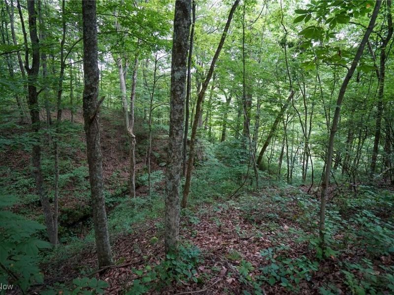 34799 Paw Rd, Lower Salem, OH 45745 Photo 48