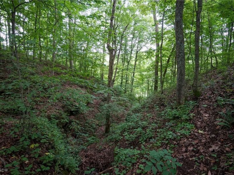 34799 Paw Rd, Lower Salem, OH 45745 Photo 49