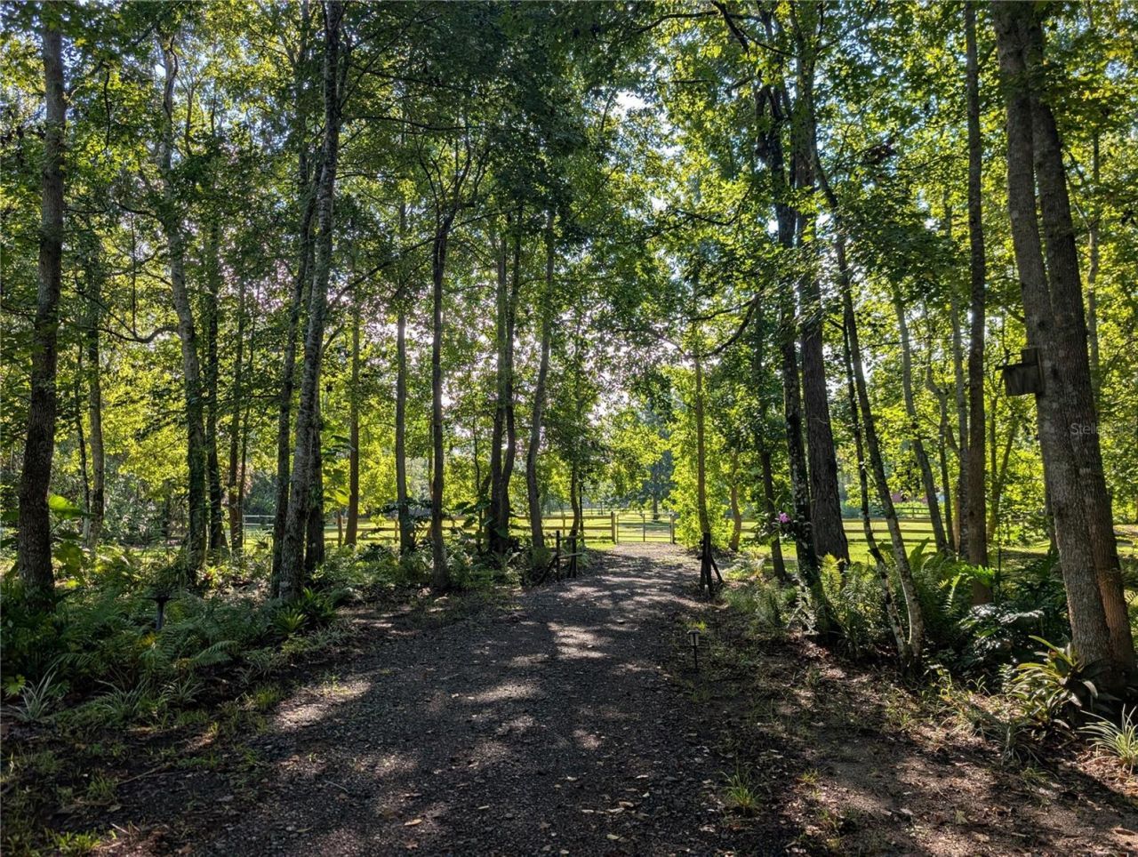 Old River Trail, Chuluota, FL 32766 Photo