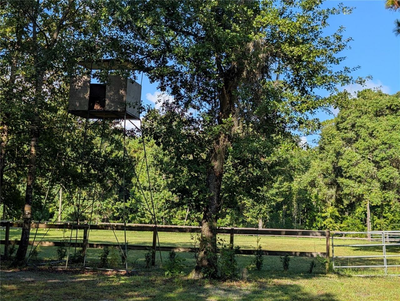 Old River Trail, Chuluota, FL 32766 Photo