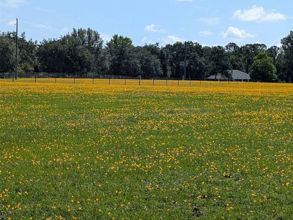GREEN SWAMP ROAD, CLERMONT, FL 34714