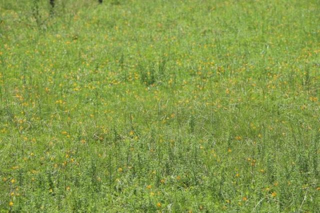 Green Swamp Road, Clermont, FL 34714 Photo