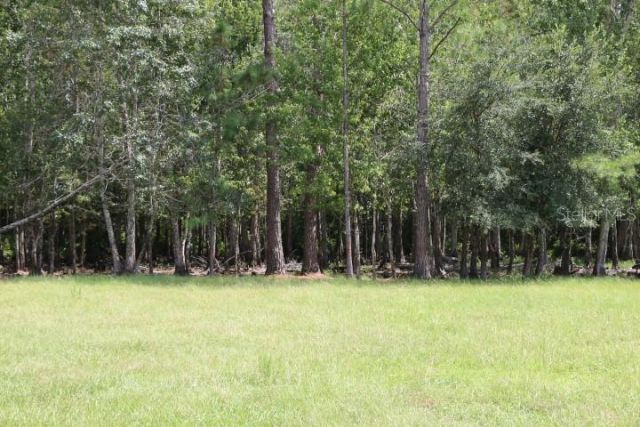 Green Swamp Road, Clermont, FL 34714 Photo