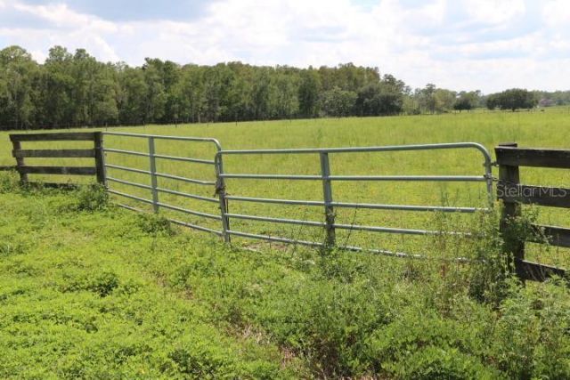 Green Swamp Road, Clermont, FL 34714 Photo