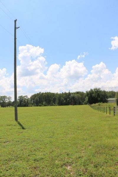 Green Swamp Road, Clermont, FL 34714 Photo