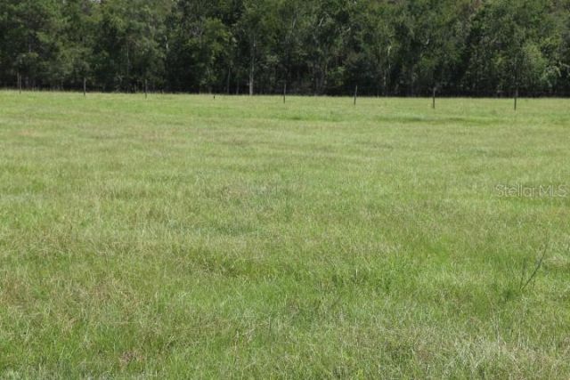 Green Swamp Road, Clermont, FL 34714 Photo