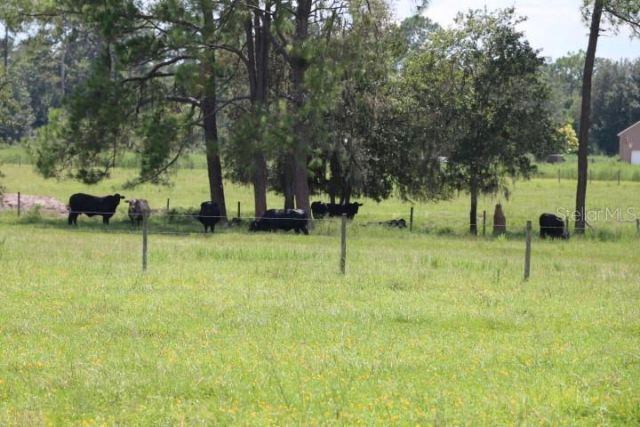 Green Swamp Road, Clermont, FL 34714 Photo