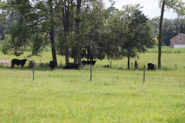 Green Swamp Road, Clermont, FL 34714 Photo