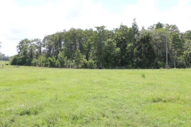 Green Swamp Road, Clermont, FL 34714 Photo