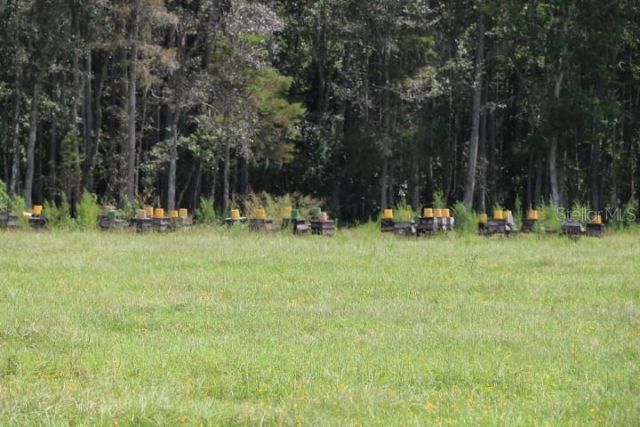 Green Swamp Road, Clermont, FL 34714 Photo