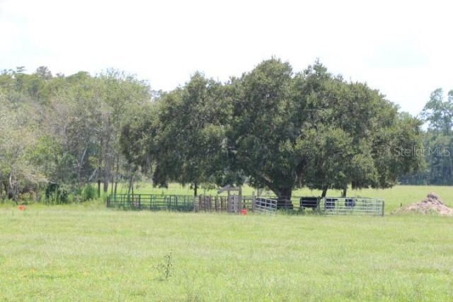 Green Swamp Road, Clermont, FL 34714 Photo