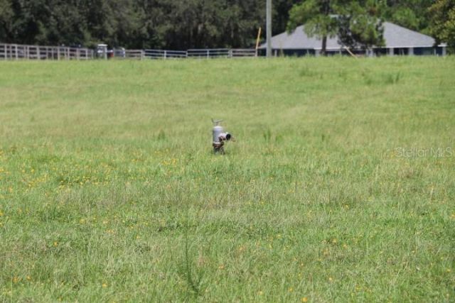 Green Swamp Road, Clermont, FL 34714 Photo