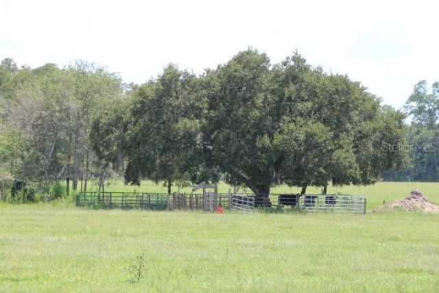 Green Swamp Road, Clermont, FL 34714 Photo