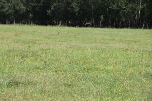 Green Swamp Road, Clermont, FL 34714 Photo