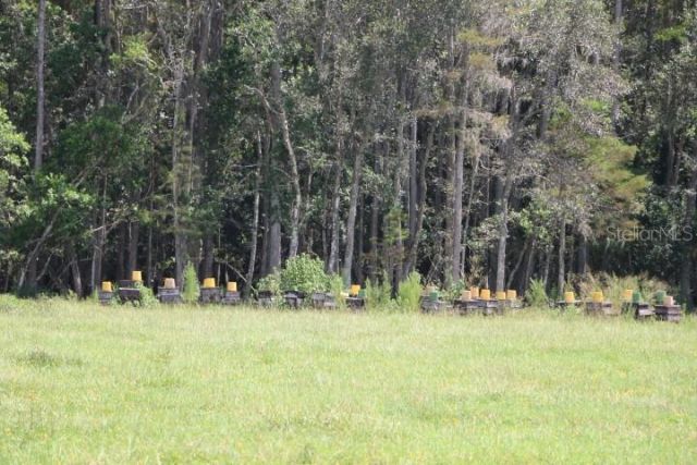 Green Swamp Road, Clermont, FL 34714 Photo