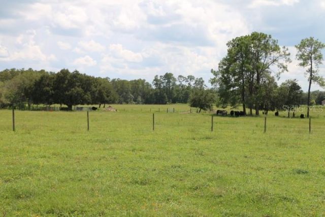 Green Swamp Road, Clermont, FL 34714 Photo