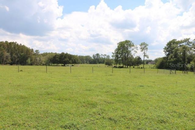 Green Swamp Road, Clermont, FL 34714 Photo