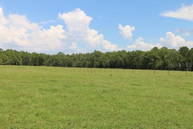 Green Swamp Road, Clermont, FL 34714 Photo