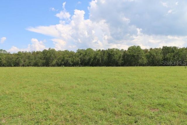 Green Swamp Road, Clermont, FL 34714 Photo