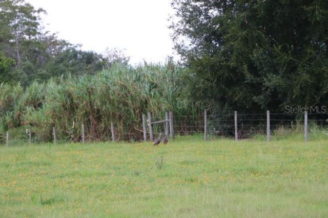 Green Swamp Road, Clermont, FL 34714 Photo