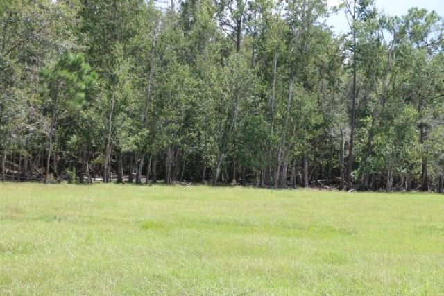 Green Swamp Road, Clermont, FL 34714 Photo