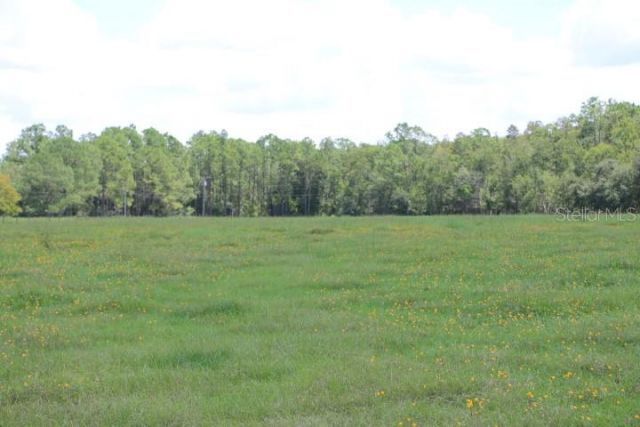 Green Swamp Road, Clermont, FL 34714 Photo