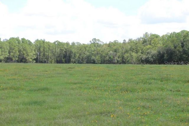 Green Swamp Road, Clermont, FL 34714 Photo