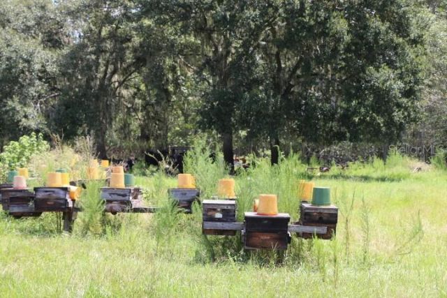 Green Swamp Road, Clermont, FL 34714 Photo