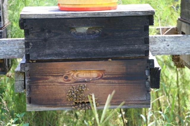 Green Swamp Road, Clermont, FL 34714 Photo