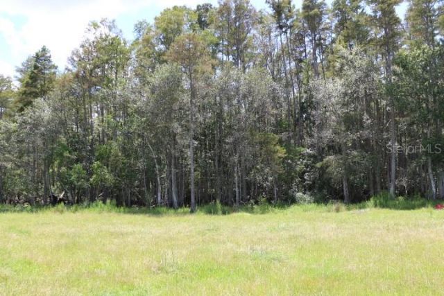 Green Swamp Road, Clermont, FL 34714 Photo