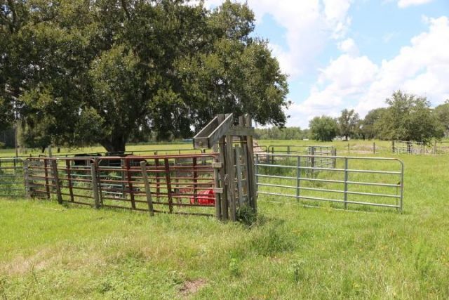 Green Swamp Road, Clermont, FL 34714 Photo