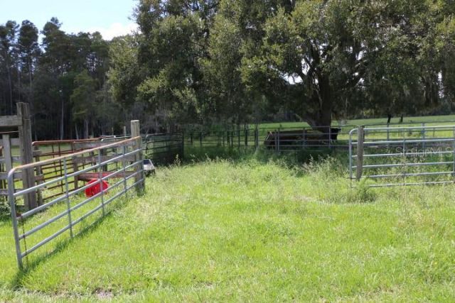 Green Swamp Road, Clermont, FL 34714 Photo