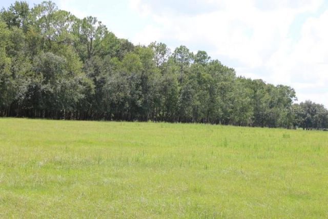 Green Swamp Road, Clermont, FL 34714 Photo