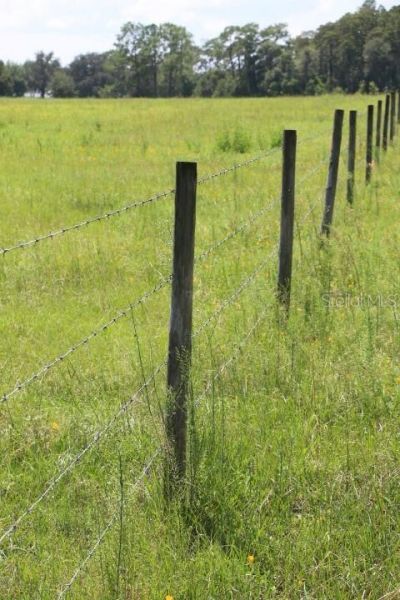 Green Swamp Road, Clermont, FL 34714 Photo