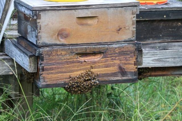 Green Swamp Road, Clermont, FL 34714 Photo