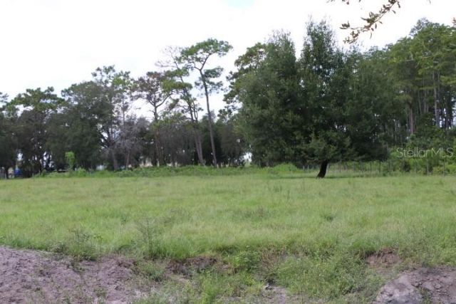 Green Swamp Road, Clermont, FL 34714 Photo