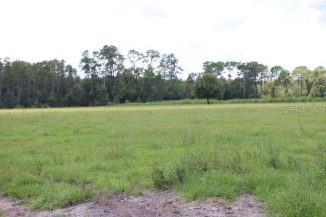 Green Swamp Road, Clermont, FL 34714 Photo
